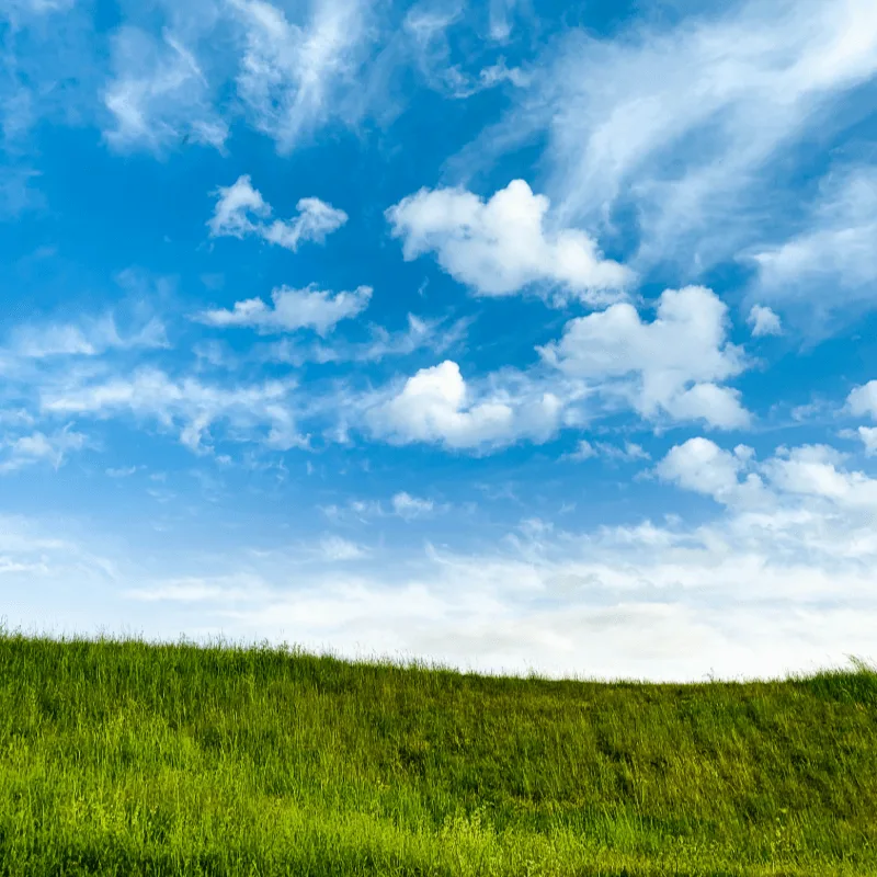 Spring Concert: Horizons - Where Earth Meets Sky